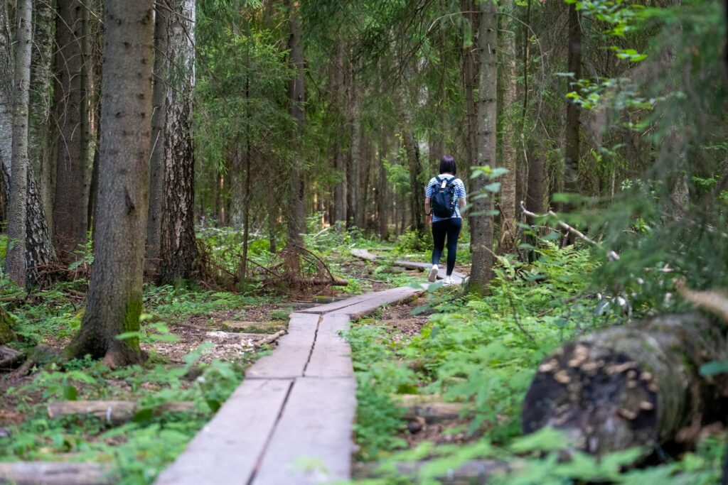 Metsäretki Haltialassa