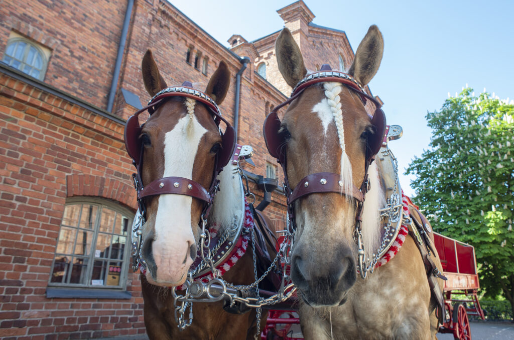 Open doors at the Sinebrychoff brewery stables