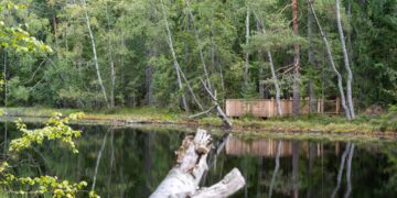 Helsingforsdagens naturutflykt till Kronberget