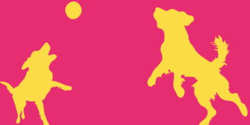 Kallio Dog Party